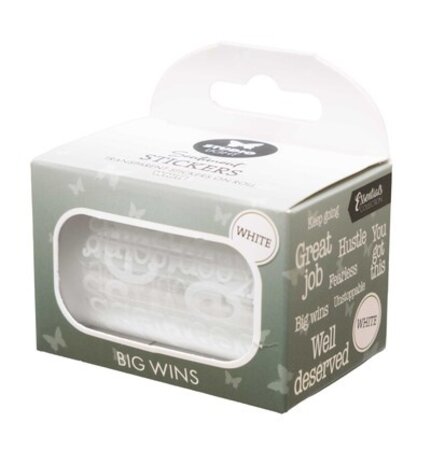 Studio Light Essentials Clear Stickers on Roll Big Wins (SL-ES-STIC78)