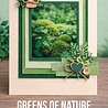 Find It Trading Linen Cardstock Pack 4K Greens Of Nature (FITCB4K006) Find It Trading Linen Cardstock Pack 4K Greens Of Nature (FITCB4K006)