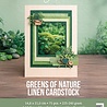 Find It Trading Linen Cardstock Pack A5 Greens Of Nature (FITCBA5006) Find It Trading Linen Cardstock Pack A5 Greens Of Nature (FITCBA5006)