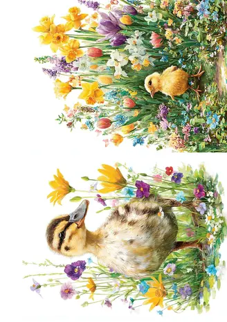 Fripperies Spring Mood A5 Journal Paperpack (SPR) Fripperies Spring Mood A5 Journal Paperpack (SPR)