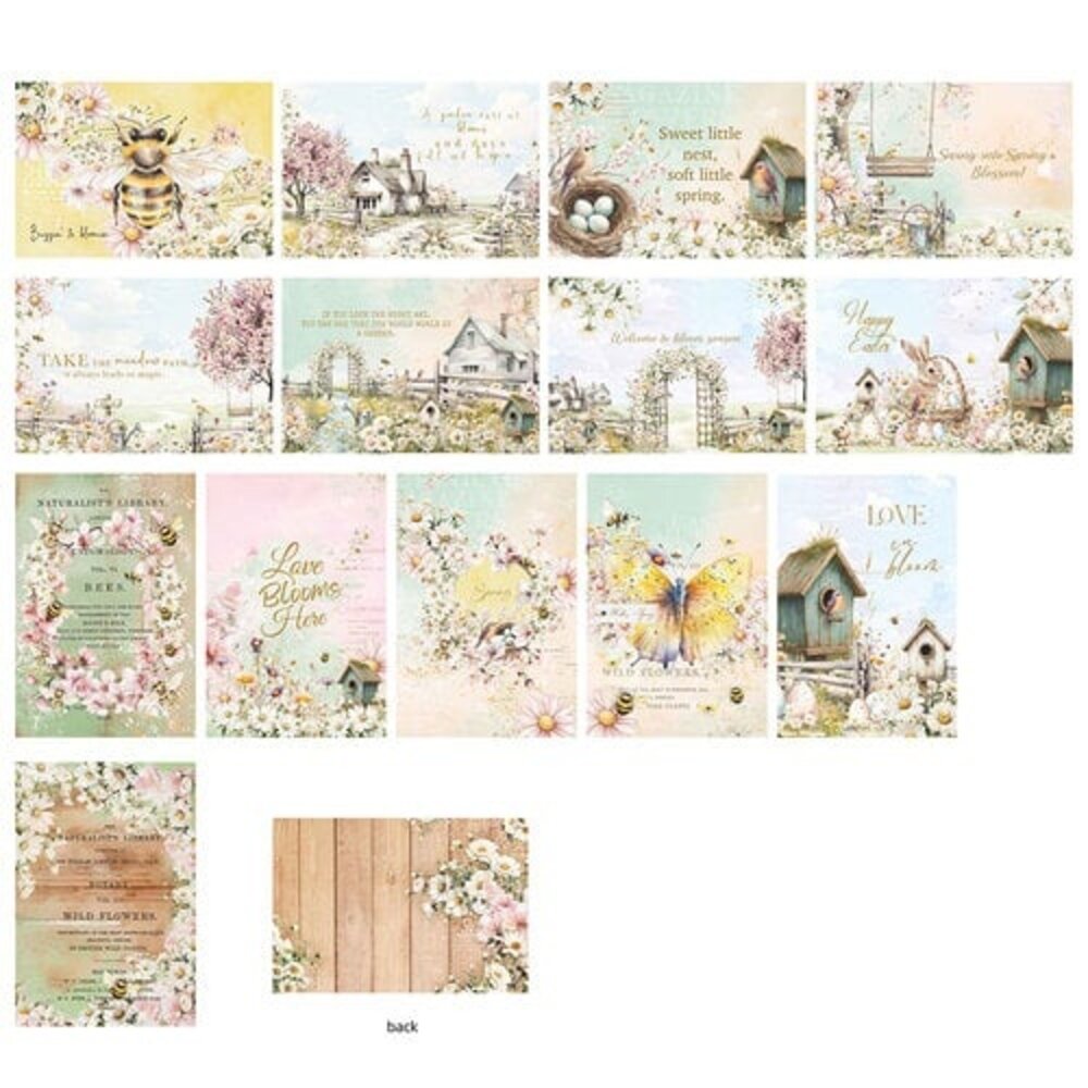 Prima Marketing Inc Among the Wildflowers 4x6 Inch Journaling Cards (682255)