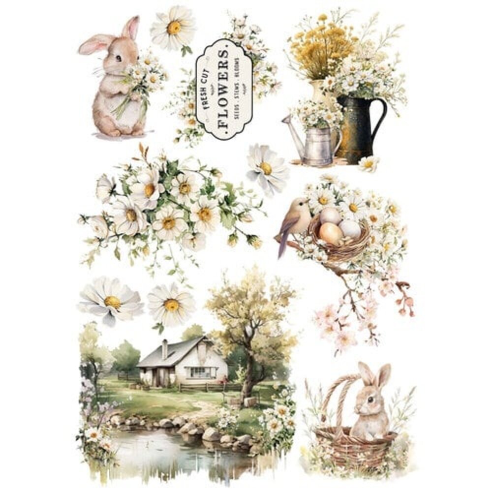 Prima Marketing Inc Among the Wildflowers A4 Rub On Transfers (682309) Prima Marketing Inc Among the Wildflowers A4 Rub On Transfers (682309)