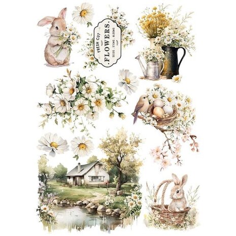 Prima Marketing Inc Among the Wildflowers A4 Rub On Transfers (682309) Prima Marketing Inc Among the Wildflowers A4 Rub On Transfers (682309)