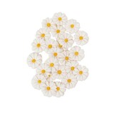 Prima Marketing Inc PRE-ORDER Among the Wildflowers Flowers White Meadow (682439)