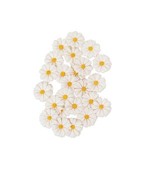 Prima Marketing Inc PRE-ORDER Among the Wildflowers Flowers White Meadow (682439)