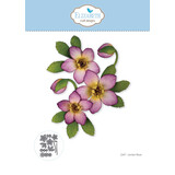 Elizabeth Craft Designs Beautiful Blooms Dies Lenten Rose (2347)