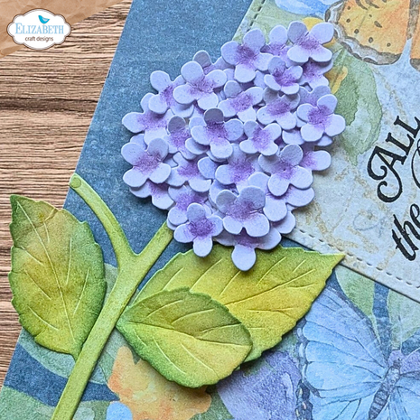Elizabeth Craft Designs Beautiful Blooms Dies Panicle Hydrangea (2348)