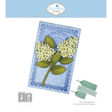Elizabeth Craft Designs Beautiful Blooms Dies Rectangle Gift Box (2351)