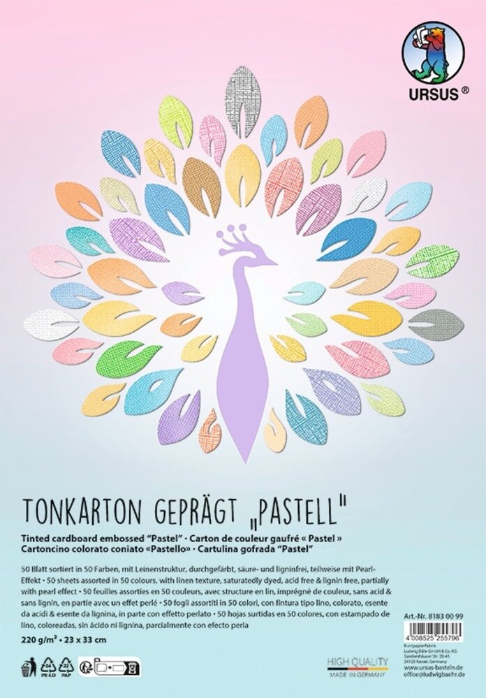 Ursus Textured Cardstock Pastel 50 Vellen 23x33 cm (8183 00 99) Ursus Textured Cardstock Pastel 50 Vellen 23x33 cm (8183 00 99)