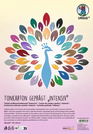 Ursus Textured Cardstock Intensiv 50 Vellen 23x33 cm (8184 00 99) Ursus Textured Cardstock Intensiv 50 Vellen 23x33 cm (8184 00 99)