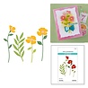 Spellbinders PRE-ORDER Poppy Song Leaf & Bloom Dies (S4-1512)
