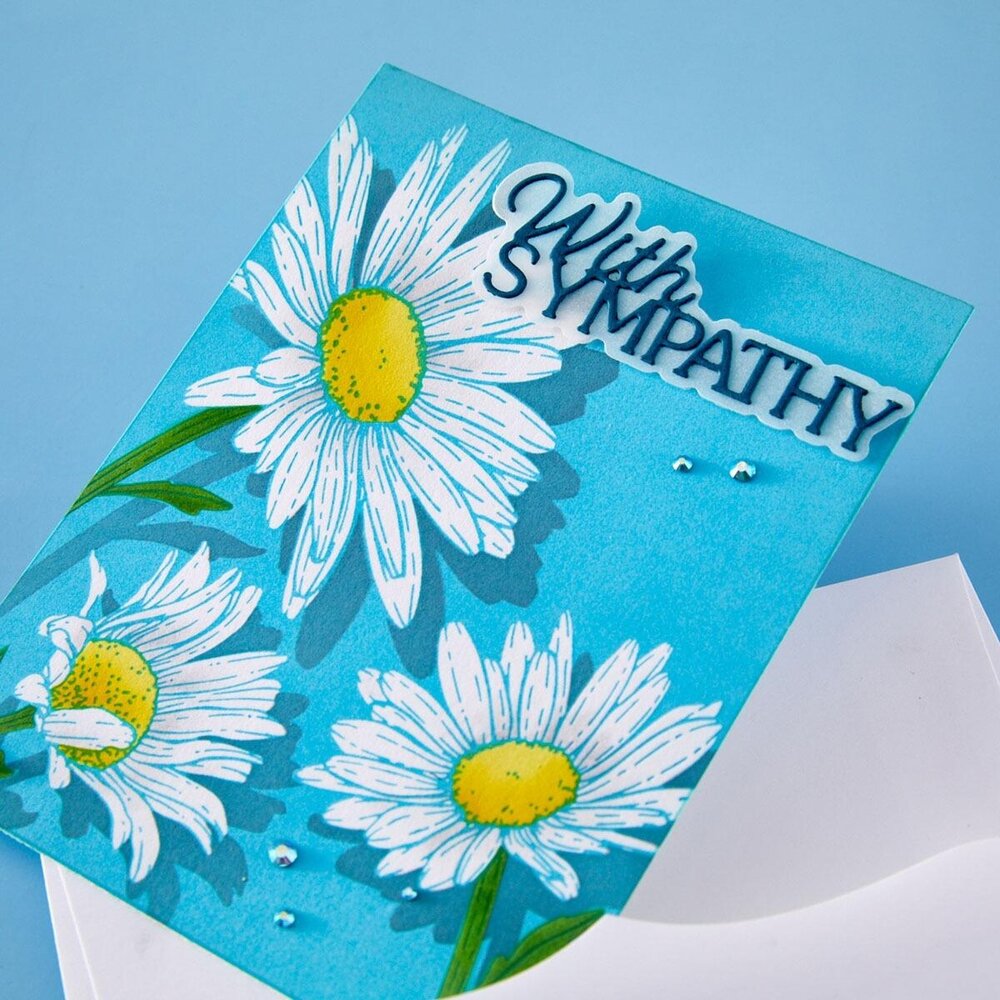 Spellbinders Essentially Yours Sentiments Layered With Sympathy Dies (S1-187)