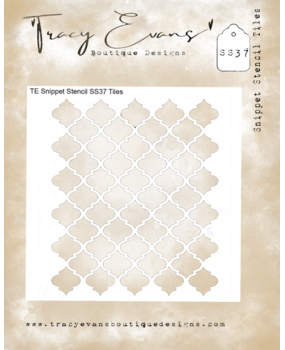 Tracy Evans Tiles 4x4 Inch Snippet Stencil (SS037)