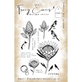 Tracy Evans Amongst The Flowers A5 Clear Stamp (TE061)