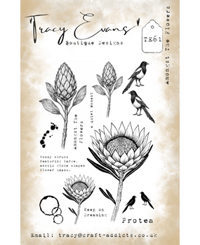 Tracy Evans PRE-ORDER Amongst The Flowers A5 Clear Stamp (TE061)