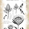 Tracy Evans PRE-ORDER Amongst The Flowers A5 Clear Stamp (TE061)