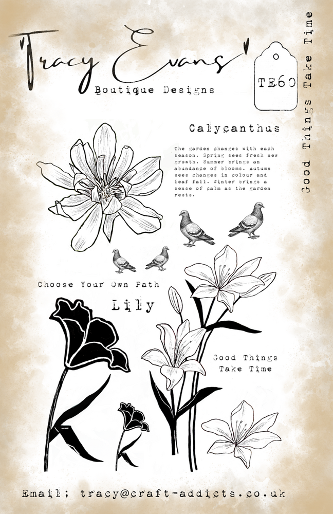 Tracy Evans PRE-ORDER Good Things Take Time A5 Clear Stamp (TE060)