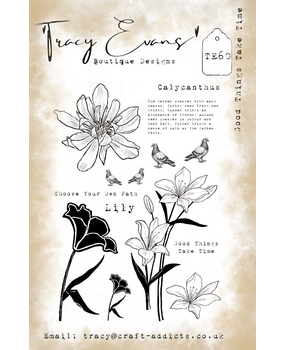 Tracy Evans Good Things Take Time A5 Clear Stamp (TE060) Tracy Evans Good Things Take Time A5 Clear Stamp (TE060)