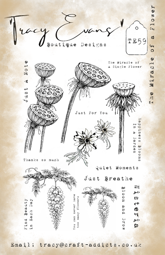 Tracy Evans PRE-ORDER The Miracle Of A Flower A5 Clear Stamp (TE059)