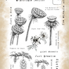 Tracy Evans The Miracle Of A Flower A5 Clear Stamp (TE059) Tracy Evans The Miracle Of A Flower A5 Clear Stamp (TE059)