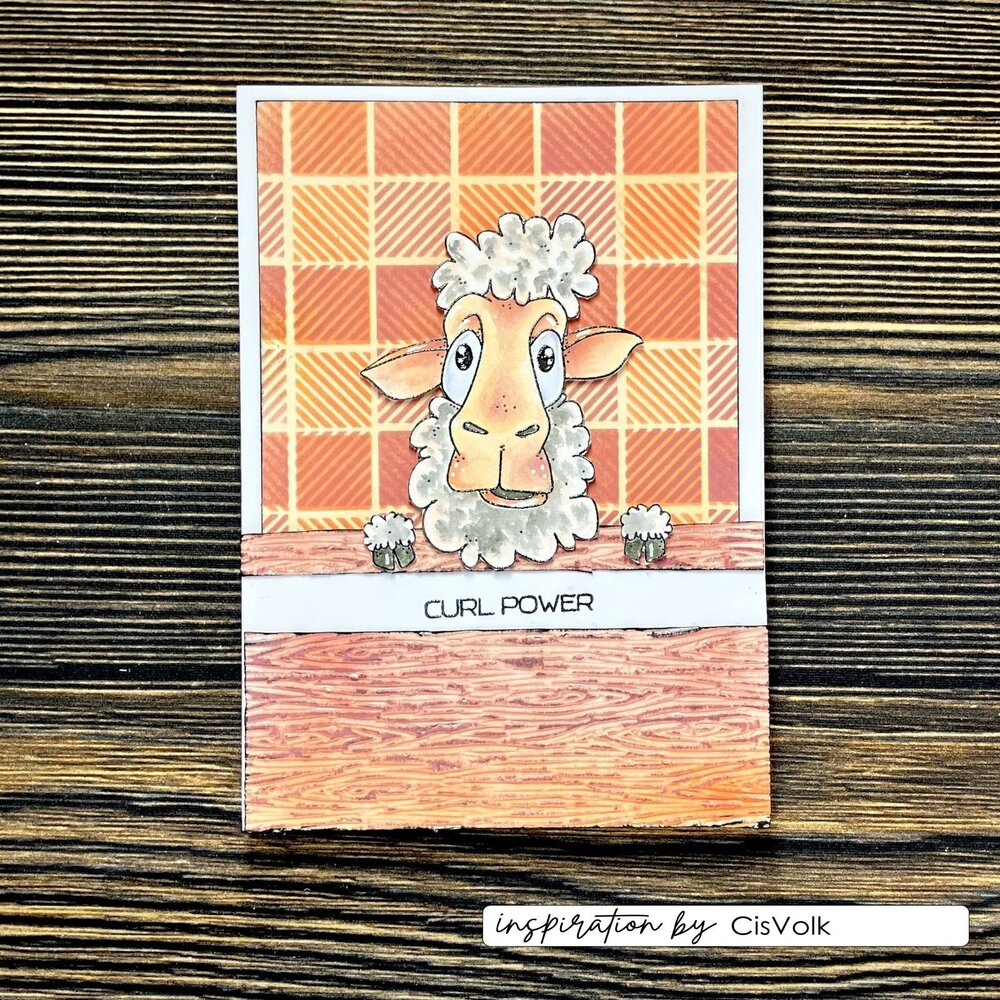 Vaessen Creative On the Farm Embossing Folder Wood (CAR0407) Vaessen Creative On the Farm Embossing Folder Wood (CAR0407)