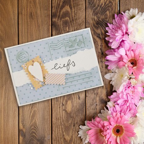 Vaessen Creative 3D Embossing Folder Ansichtkaart (3625-0304) Vaessen Creative 3D Embossing Folder Ansichtkaart (3625-0304)