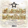 Paper Favourites Bird Nest 6x6 Inch Paper Pack (PF577)