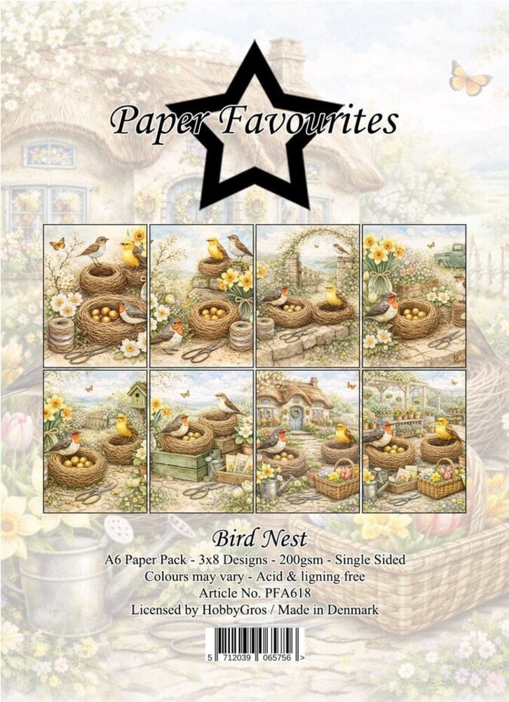 Paper Favourites Bird Nest A6 Paper Pad (PFA618)