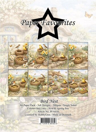 Paper Favourites Bird Nest A6 Paper Pad (PFA618)