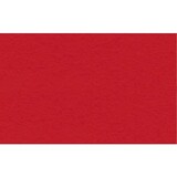 Ursus Fotokarton A4 Tulip Red (50pcs) (3774621)