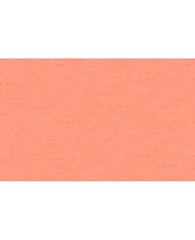 Ursus Fotokarton A4 Coral (50pcs) (3774642)