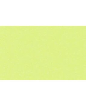 Ursus Fotokarton A4 Apple Green (50pcs) (3774650)
