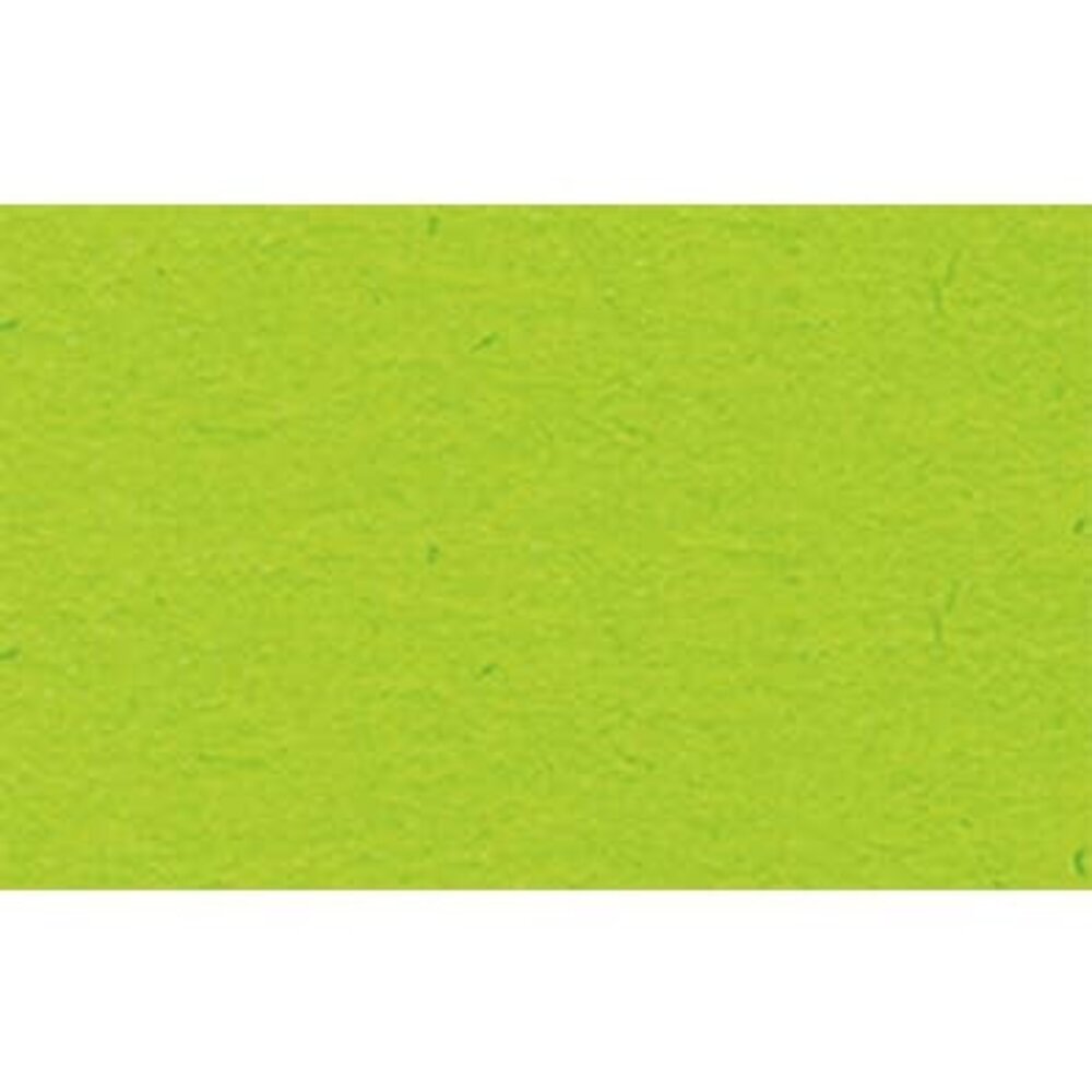 Ursus Fotokarton A4 Light Green (50pcs) (3774651)