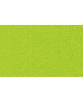 Ursus Fotokarton A4 Light Green (50pcs) (3774651)