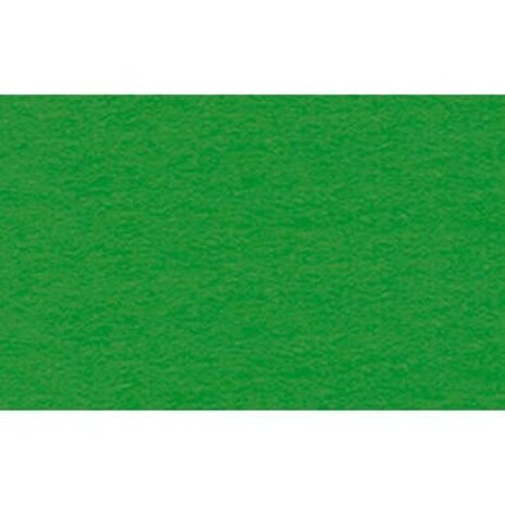 Ursus Fotokarton A4 Lime Green (50pcs) (3774653)