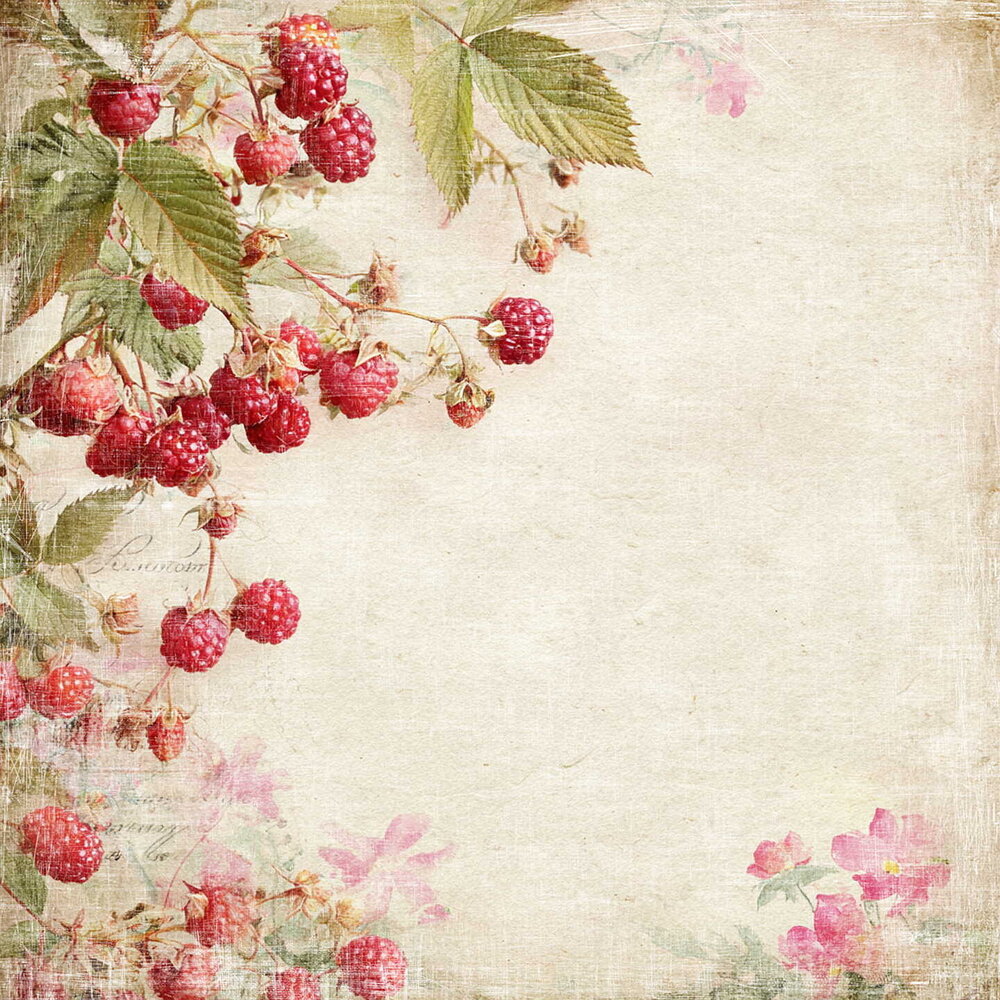 Reprint Summer Garden 12x12 Inch Paper Pack (CRP099) Reprint Summer Garden 12x12 Inch Paper Pack (CRP099)