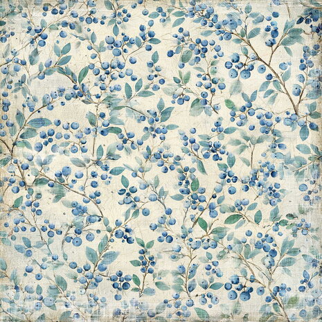 Reprint PRE-ORDER Summer Garden 12x12 Inch Paper Pack (CRP099)