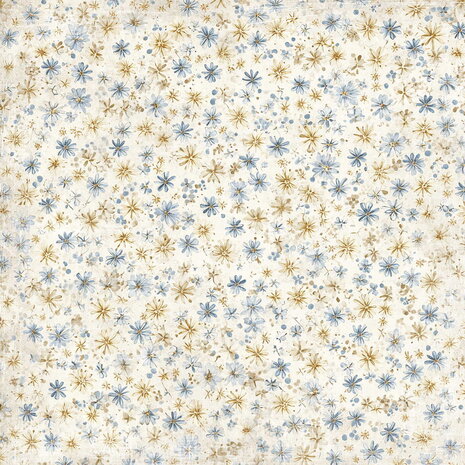 Reprint Summer Meadow 6x6 Inch Paper Pack (RPP118) Reprint Summer Meadow 6x6 Inch Paper Pack (RPP118)