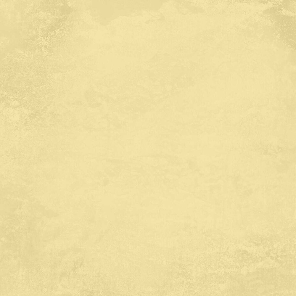 Reprint PRE-ORDER Summer Meadow 12x12 Inch Cardstock (REP023)