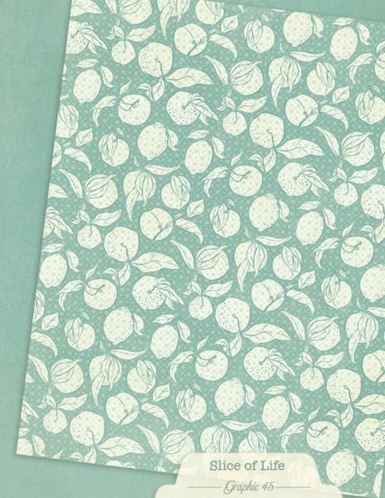 Graphic 45 PRE-ORDER Slice of Life 8,5x11 Inch Patterns & Solids Pack (4503231)