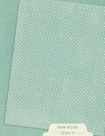 Graphic 45 PRE-ORDER Slice of Life 8,5x11 Inch Patterns & Solids Pack (4503231)