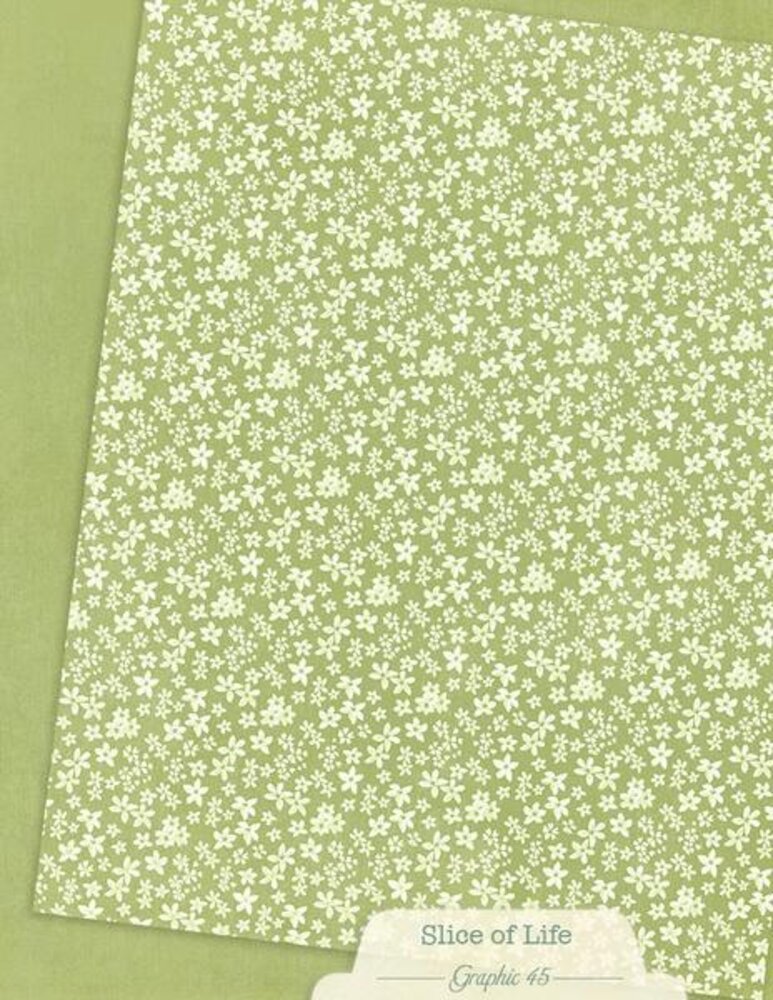 Graphic 45 PRE-ORDER Slice of Life 8,5x11 Inch Patterns & Solids Pack (4503231)