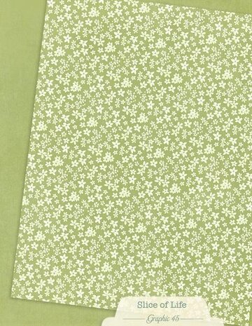 Graphic 45 PRE-ORDER Slice of Life 8,5x11 Inch Patterns & Solids Pack (4503231)
