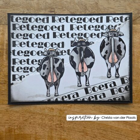 Vaessen Creative On the Farm Clear Stamps Tekst (CAR0406)
