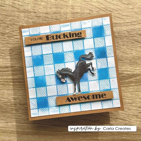 Vaessen Creative On the Farm Stencil Kitchen Towel (CAR0408)