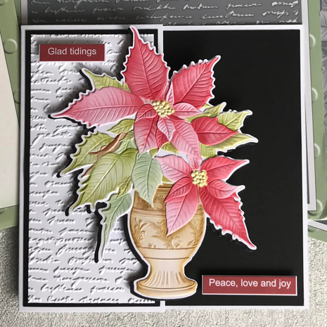 Lisa Horton Crafts Potted Poinsettia 5x7 Inch 3D Embossing Folder (LHCEF242)
