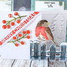 Lisa Horton Crafts Festive Robin A6 3D Embossing Folder (LHCEF245)