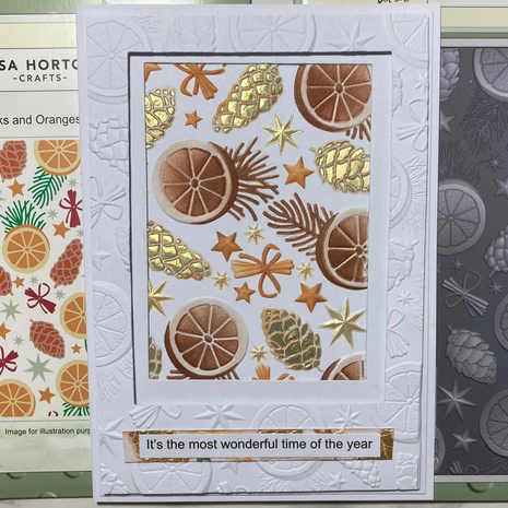 Lisa Horton Crafts Cinnamon Sticks and Oranges 5x7 Inch 3D Embossing Folder (LHCEF247)