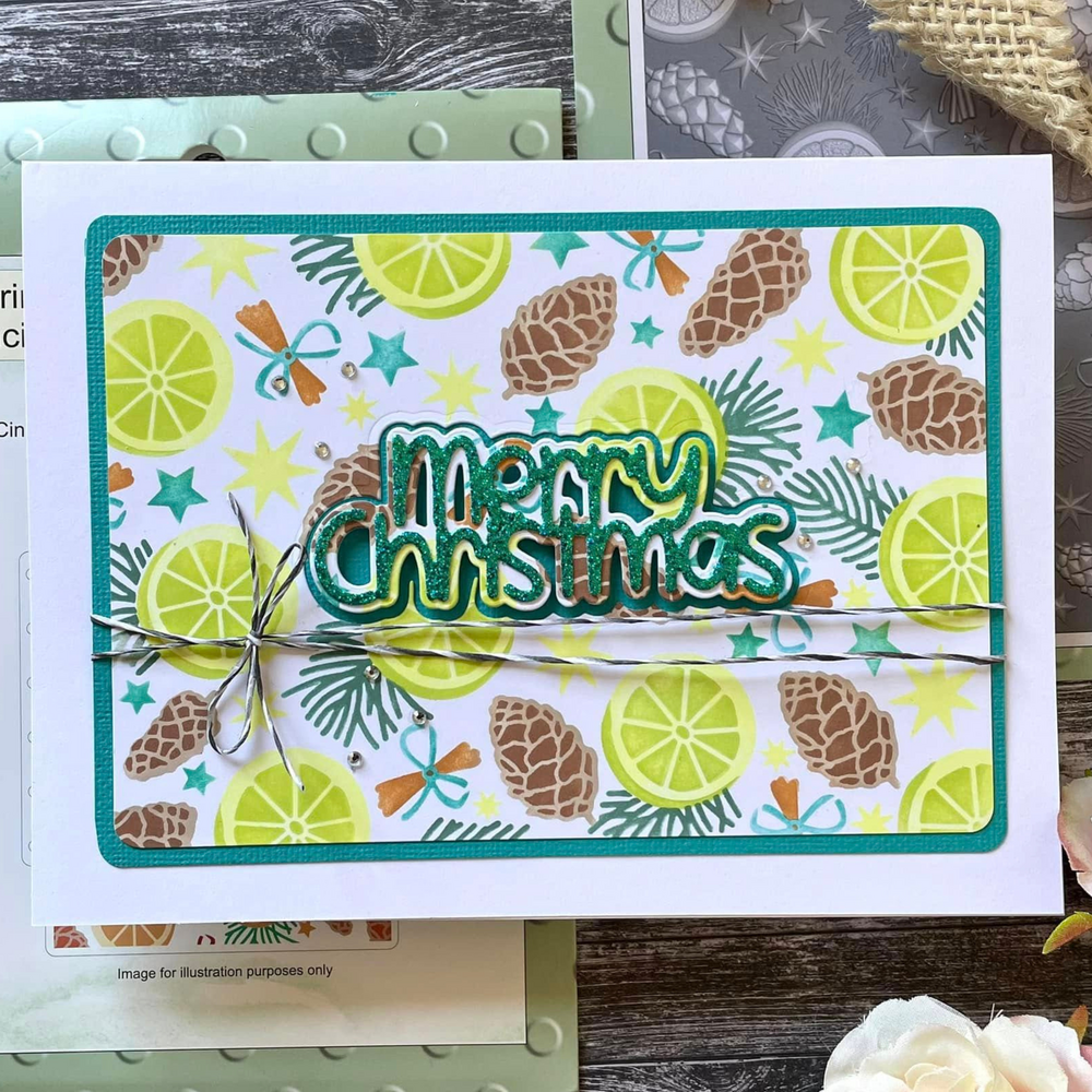 Lisa Horton Crafts Cinnamon Sticks and Oranges 5x7 Inch 3D Embossing Folder (LHCEF247)