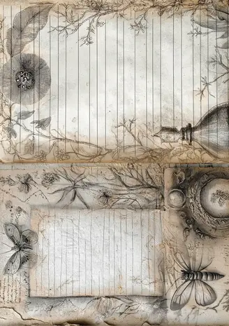 Fripperies Curiosities A5 Creative Paper Set (CUR)